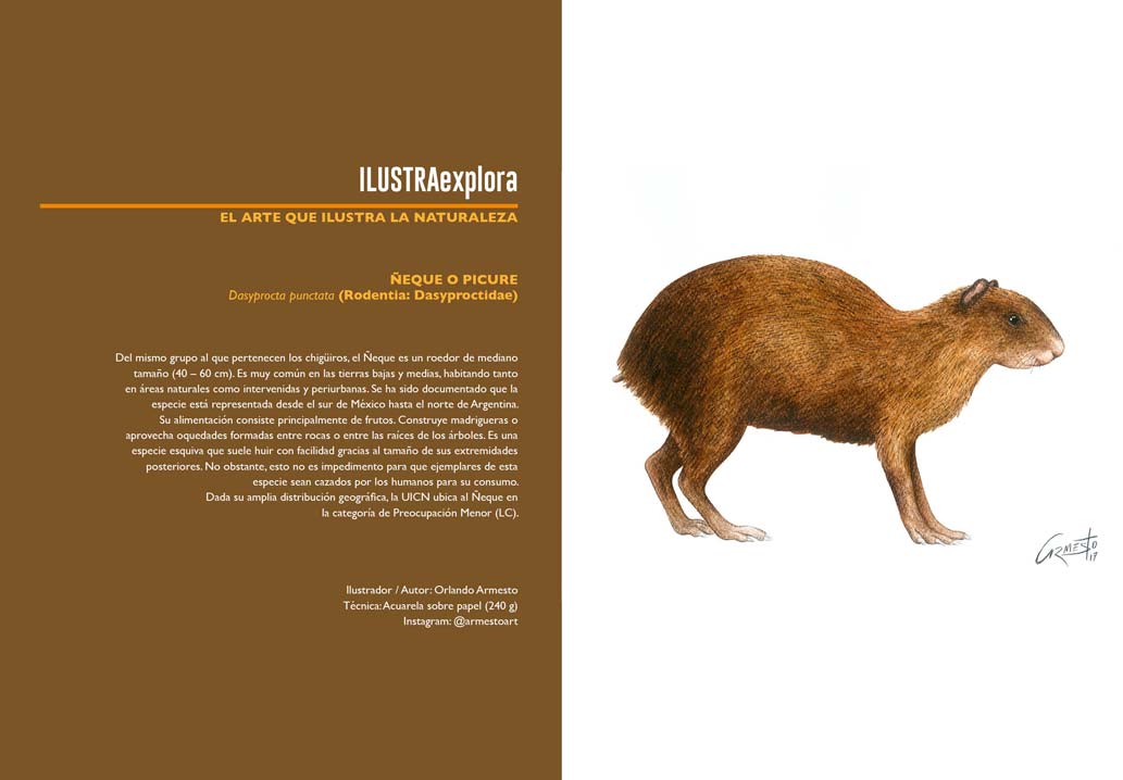 explora | conocer es conservar